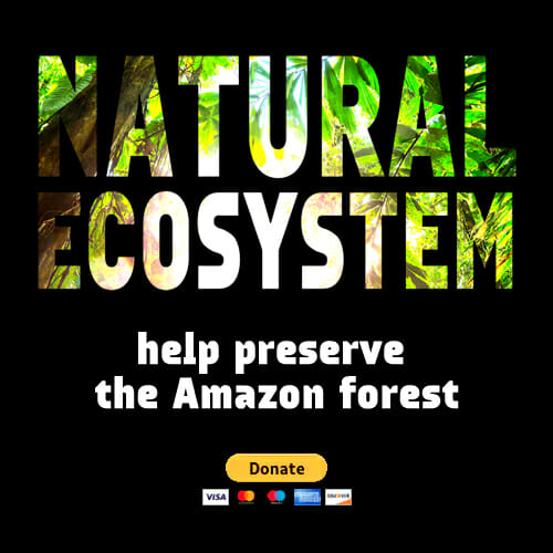 Natural Ecosystem - Help preserve the Amazon forest